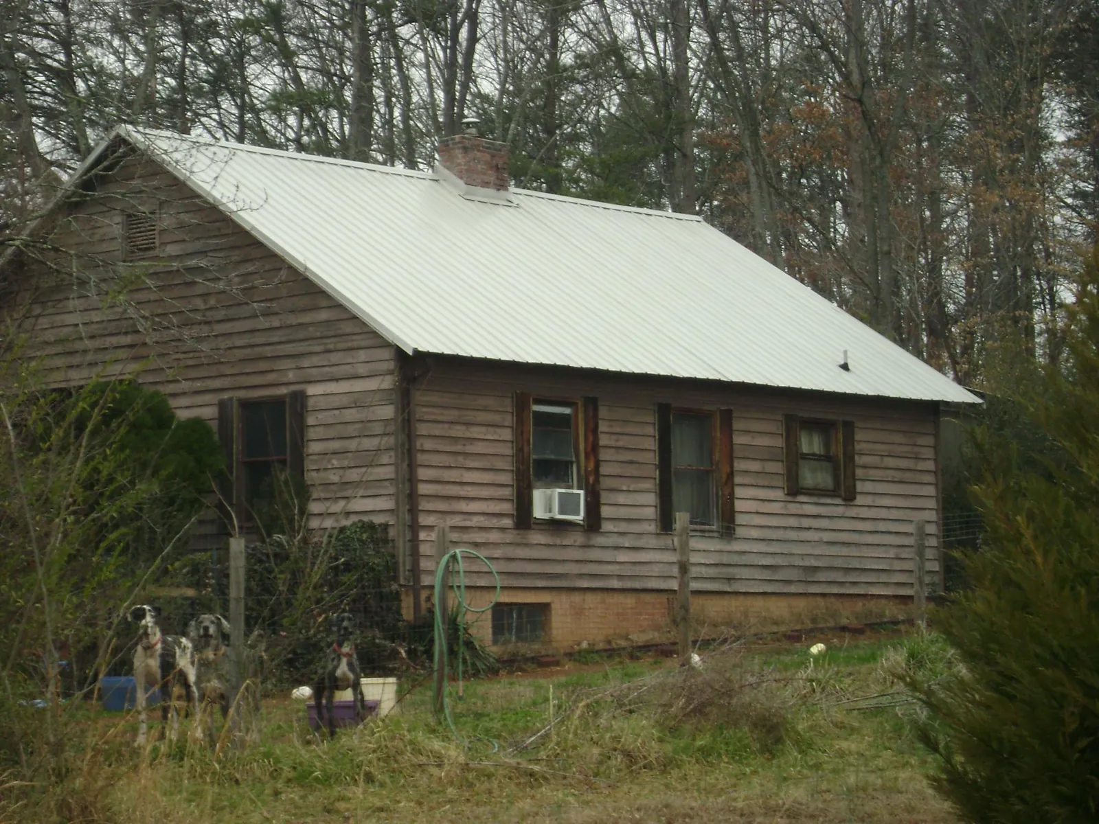 White metal roof on an old wood sided farmhouse, from a Asphalt Shingle Roof Repair job in Jeddo